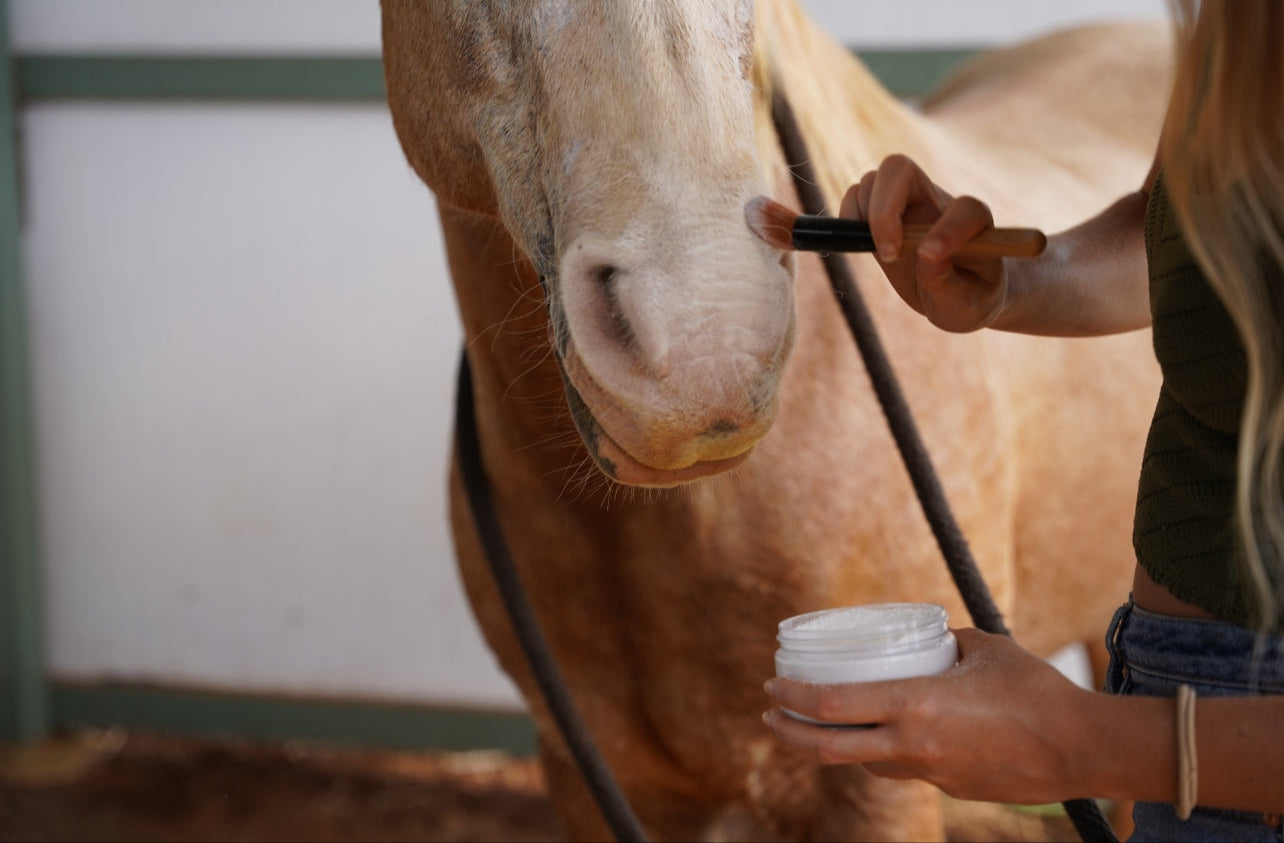 Equine Powdered Sunscreen
