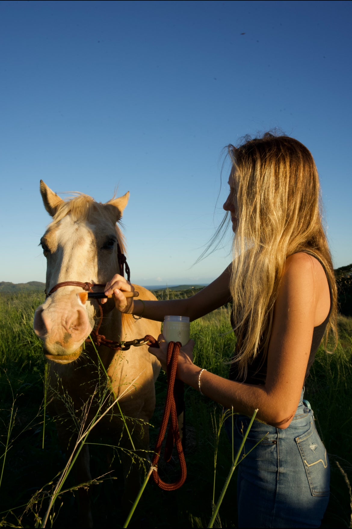 Equine Powdered Sunscreen