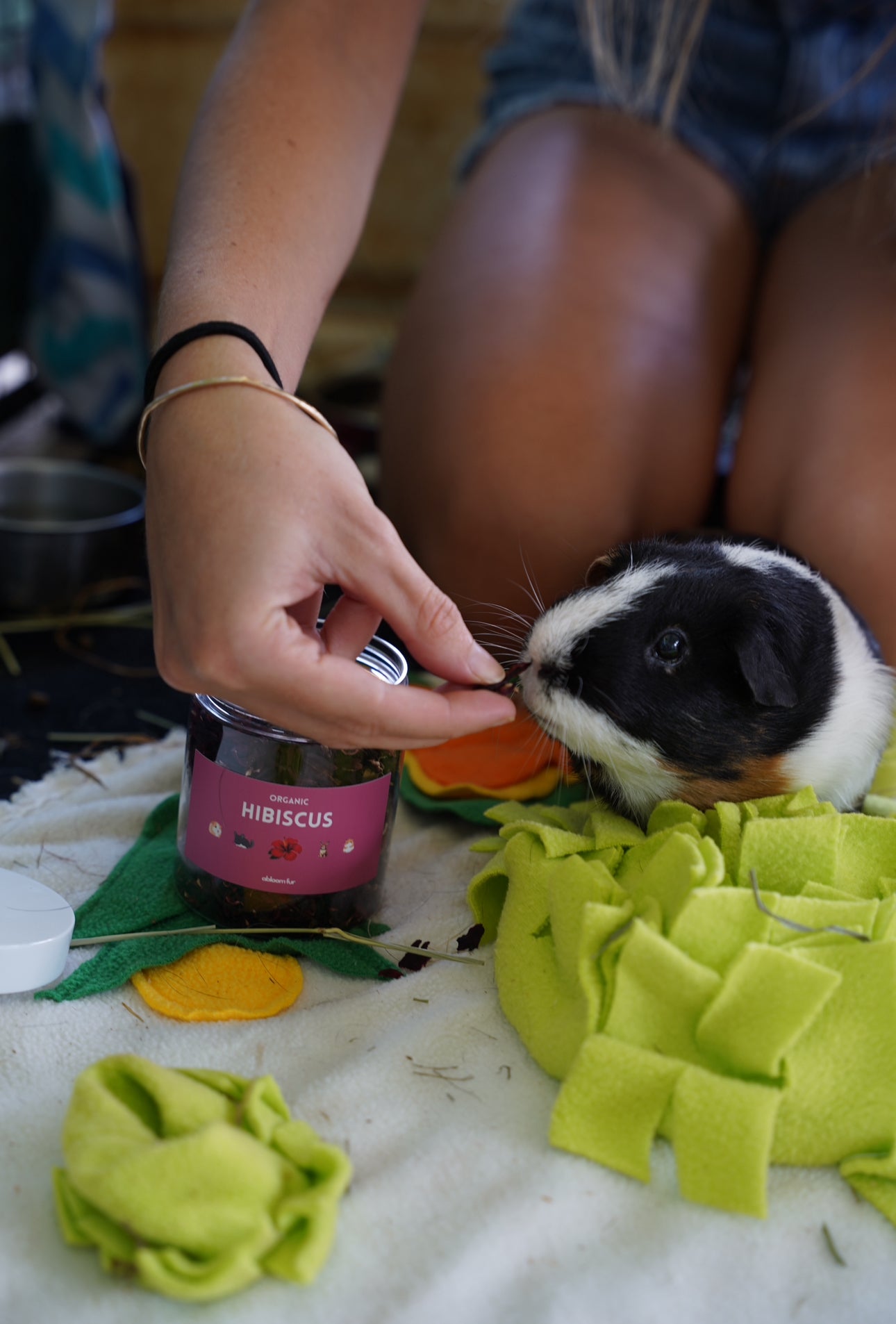 Hibiscus Flowers- small pet treat