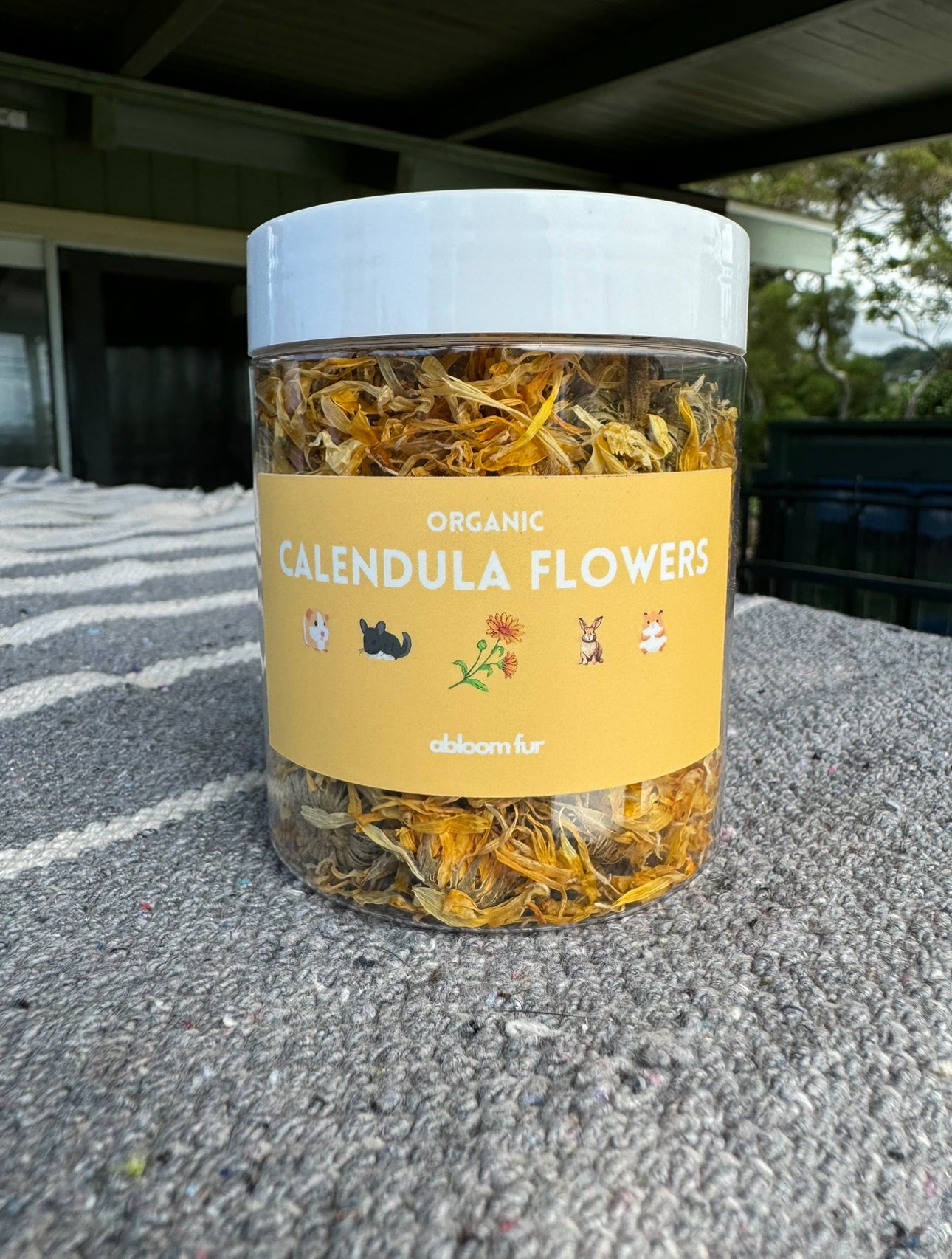 Calendula Flowers- small pet treats