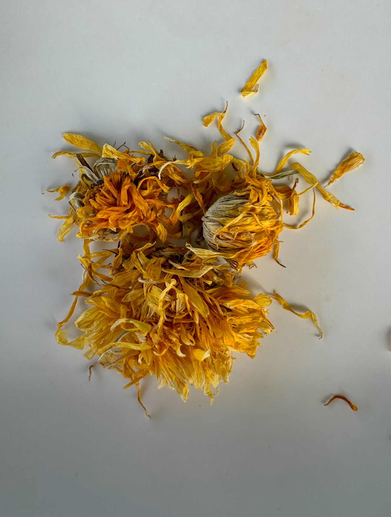 Calendula Flowers- small pet treats