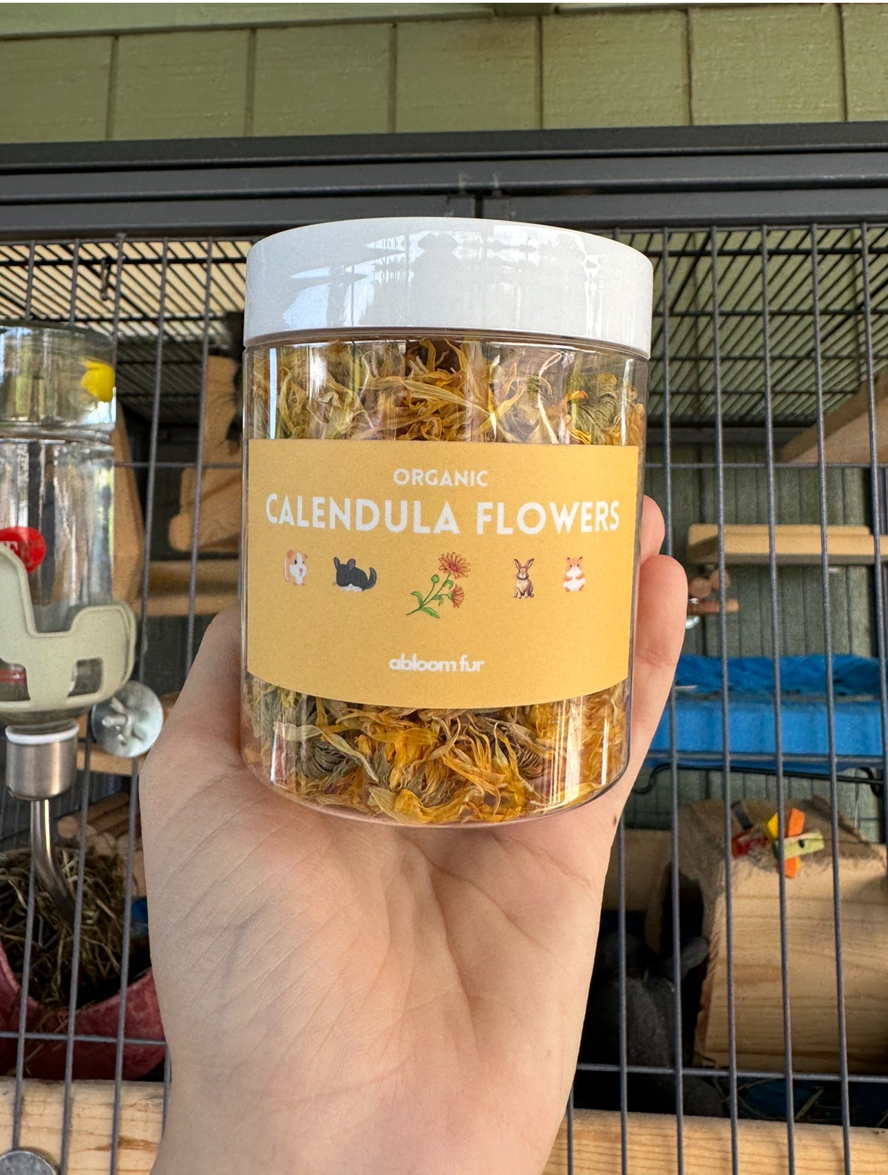 Calendula Flowers- small pet treats