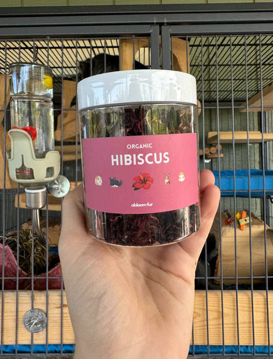 Hibiscus Flowers- small pet treat