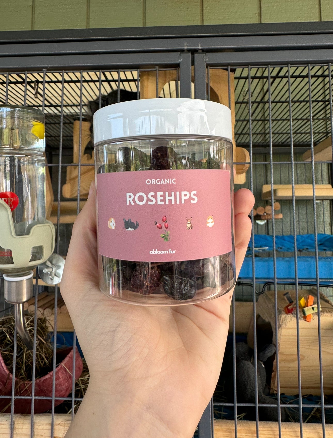 Rose Hips- small pet treat