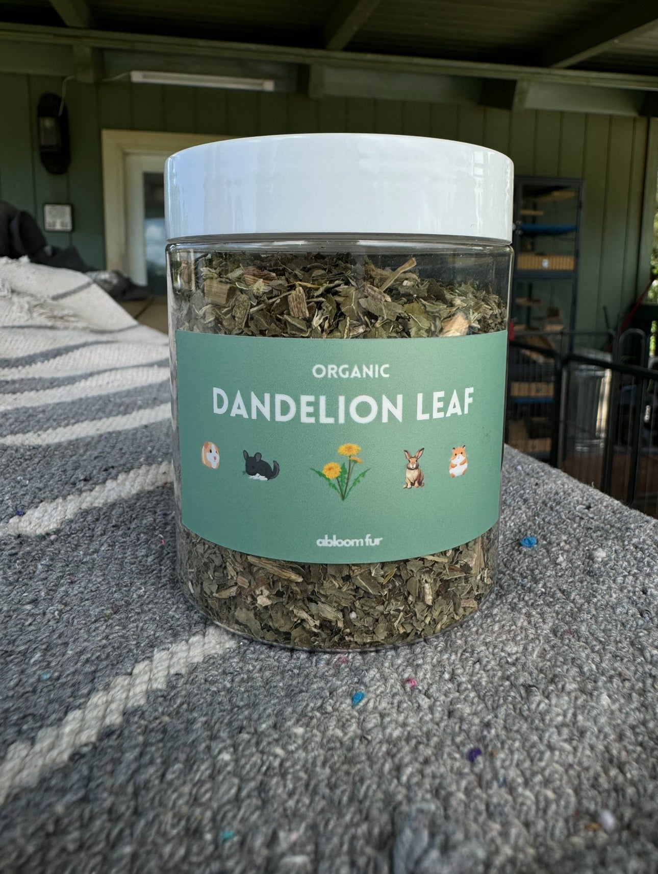 Dandelion Leaf - small pet treat